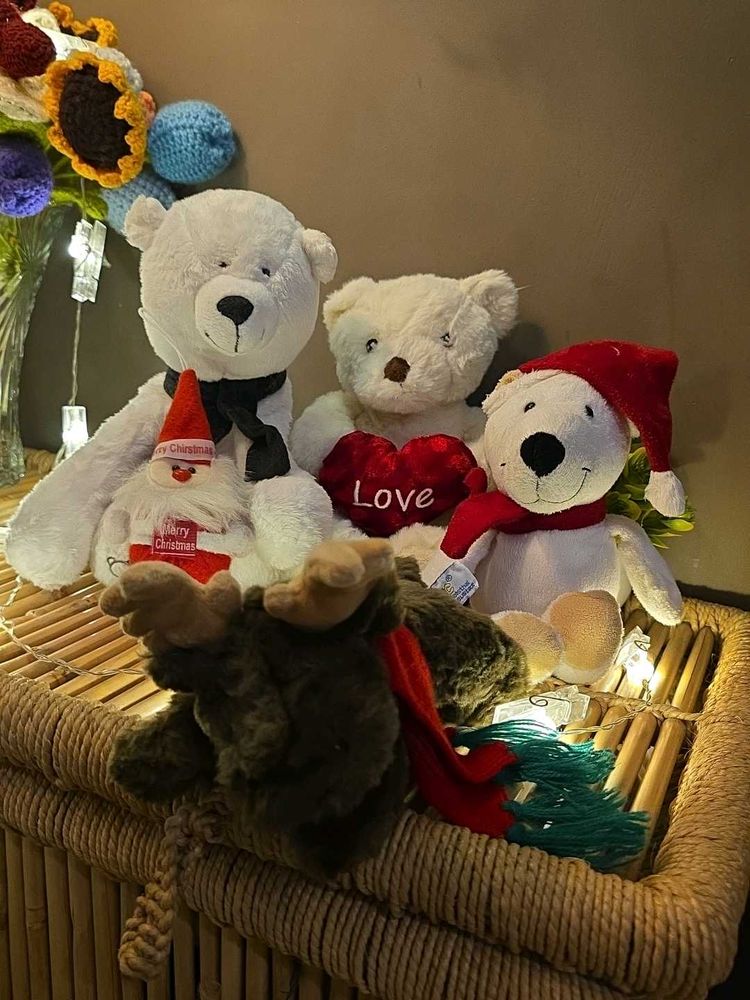 Christmas Theme Plush Teddy Bear Collection