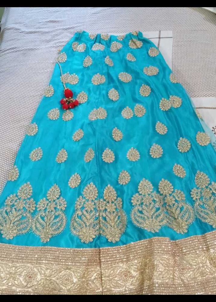 Embroidered Lehenga Skirt