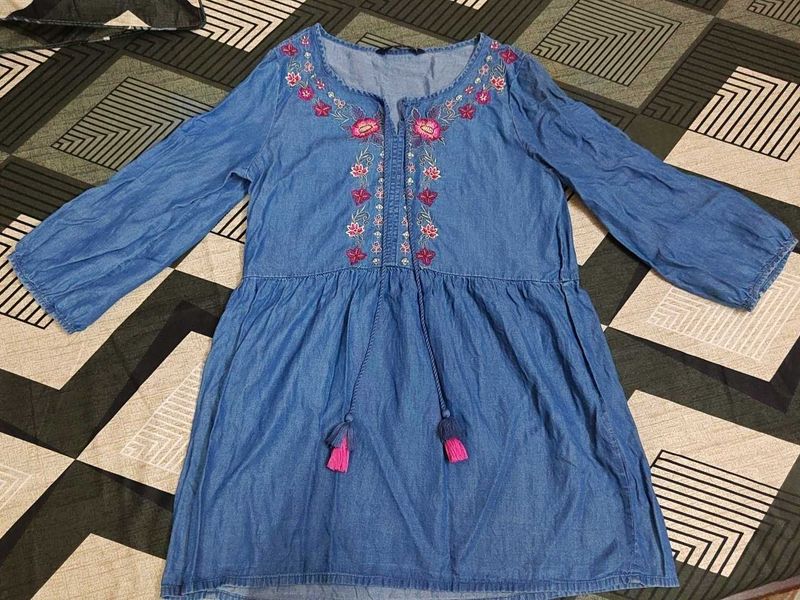 Denim Embroidered Dress