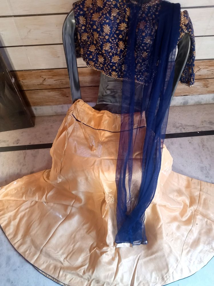 A Partywear Lehnga Dress