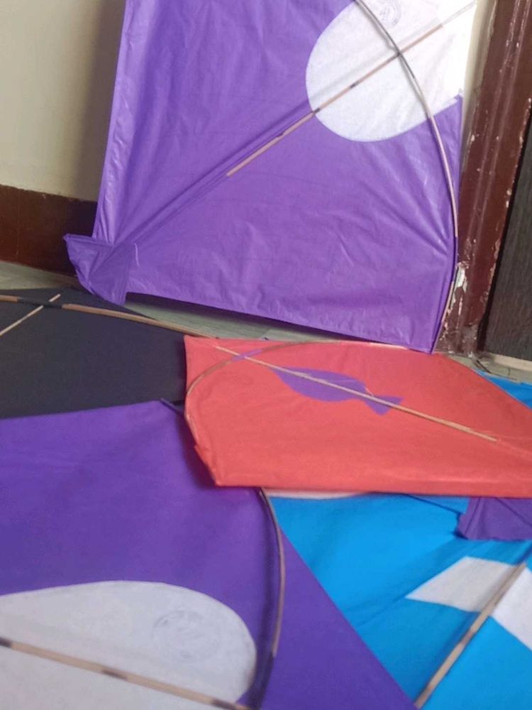 Colorful $CHAMPIONS$ KitesPack of 30