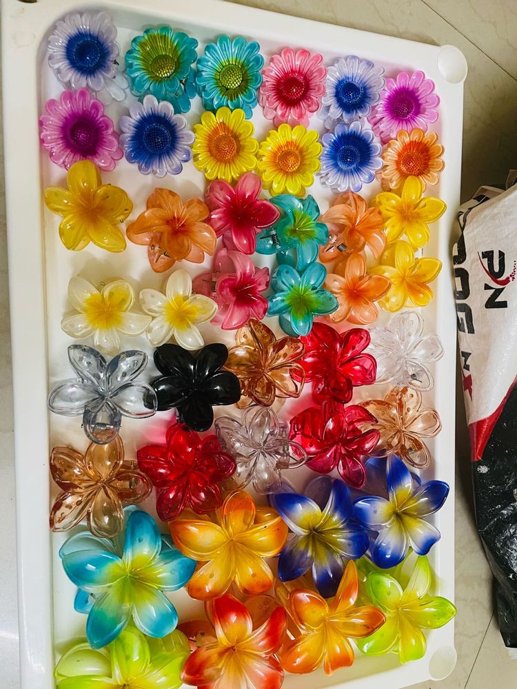 Korean Claw Clips Trending