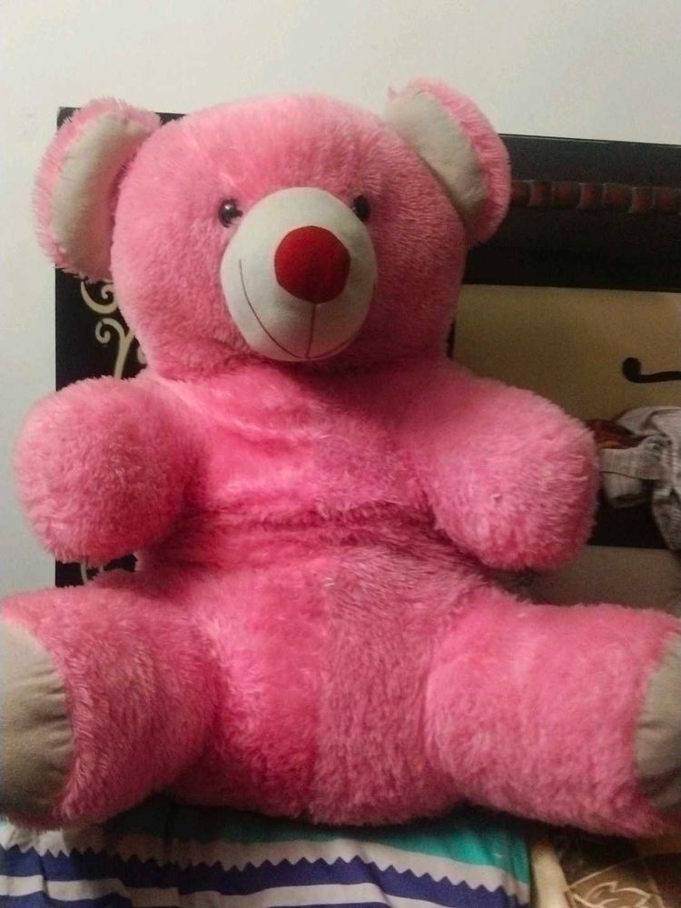 Pink Teddy Bear - Soft and Cuddly  big size coine❌