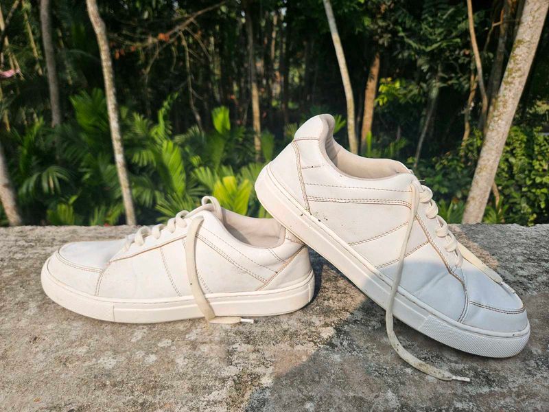Highlander White Casual Sneakers Unisex