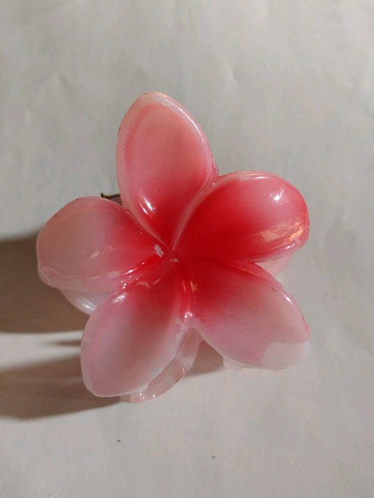 Hair claw Clip