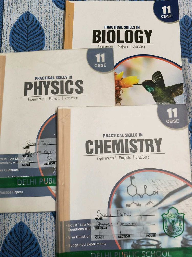 Class 11 CBSE Practical Books