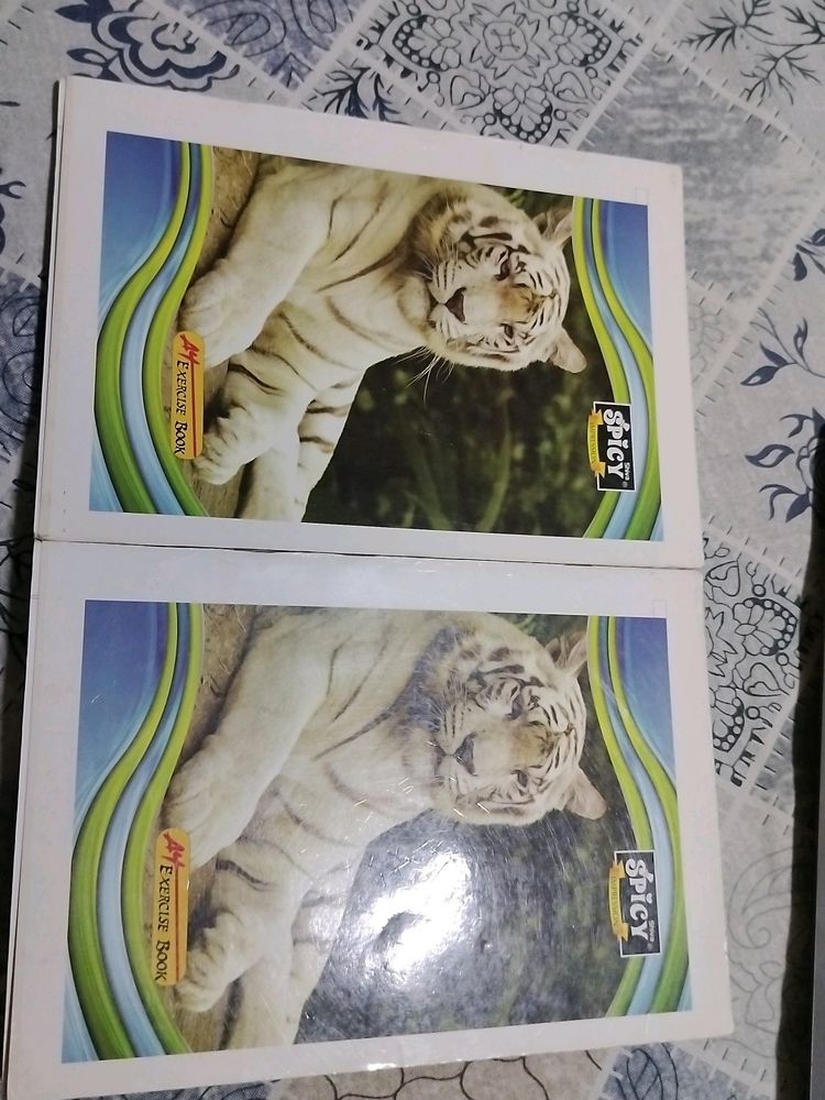 Selling Shiva Impressions A4 Size Register