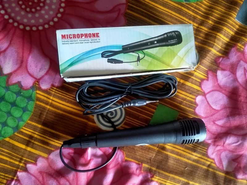 Microphone 🎤 Working