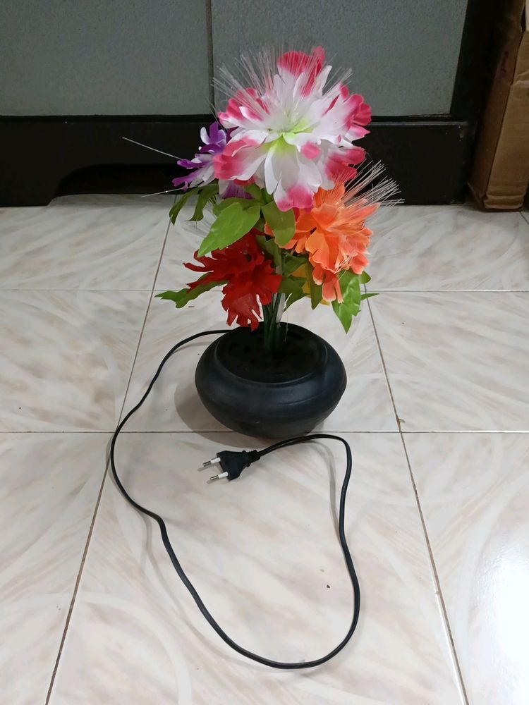 Beautiful Showpiece