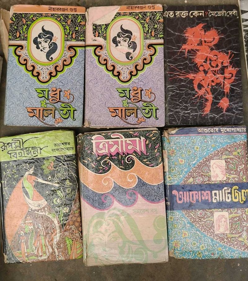 Vintage Bengali Book Collection