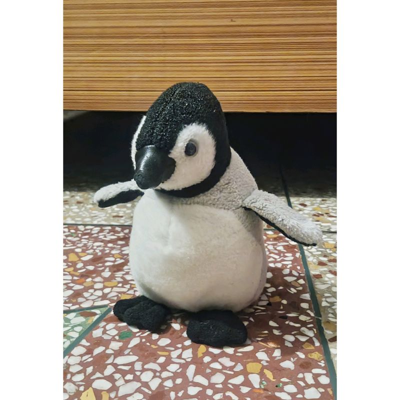 Penguin 🐧