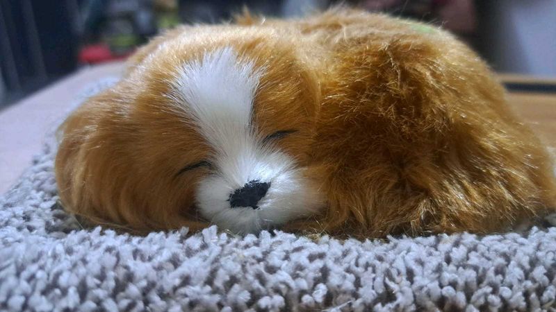 Cute Sleeping Puppy Plush