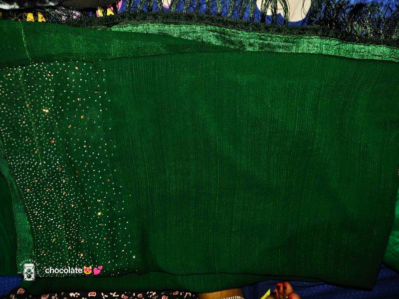 Elegant Green Embellished Saree💚