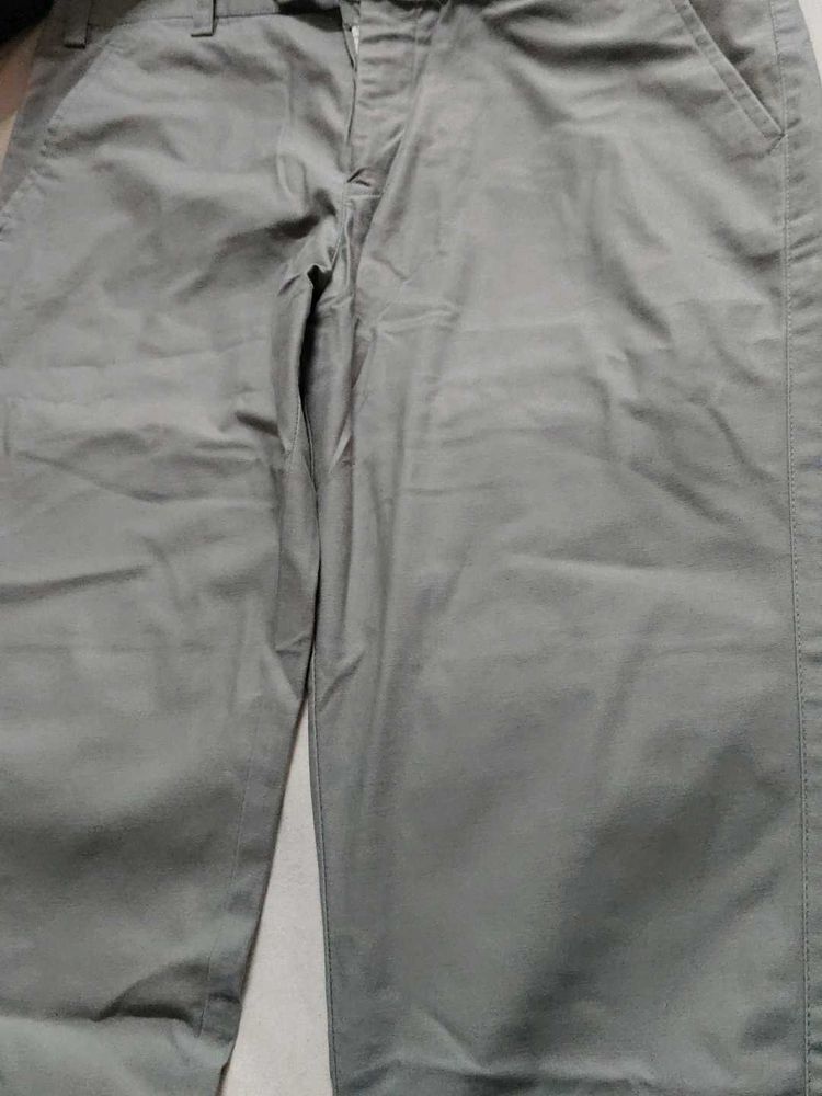 Pant