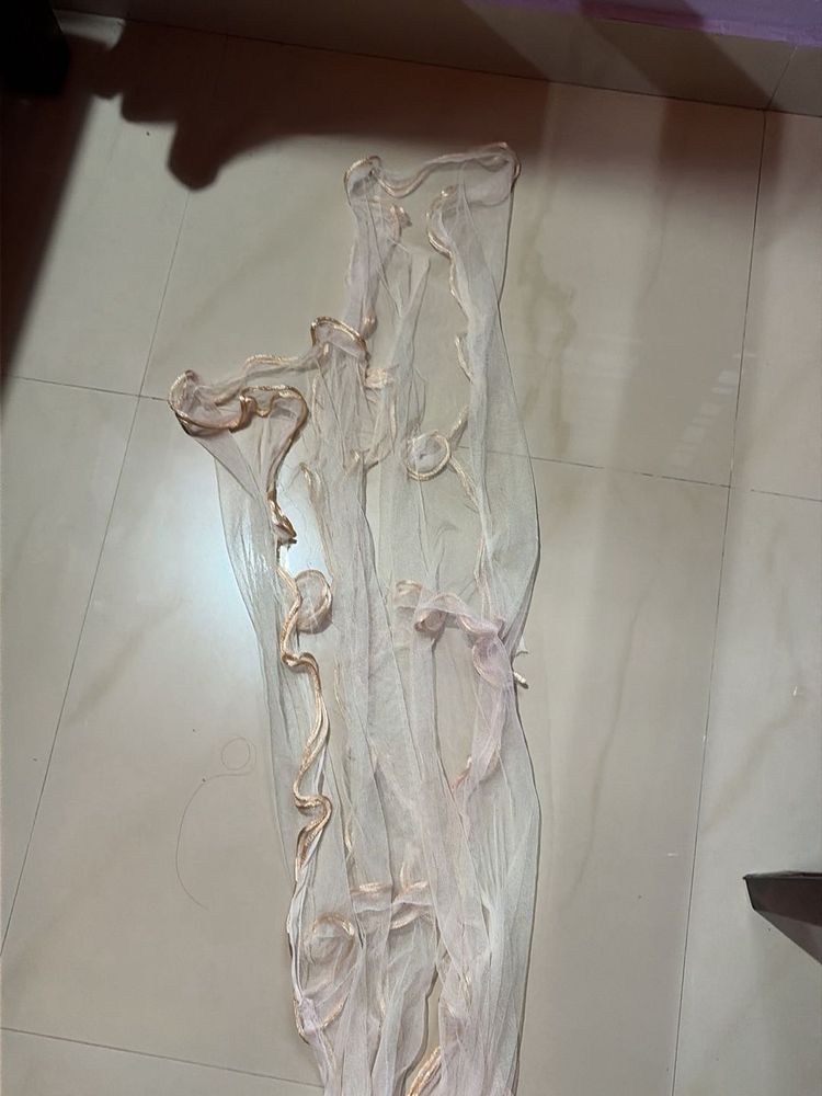 Elegant Net Dupatta with Embellishments