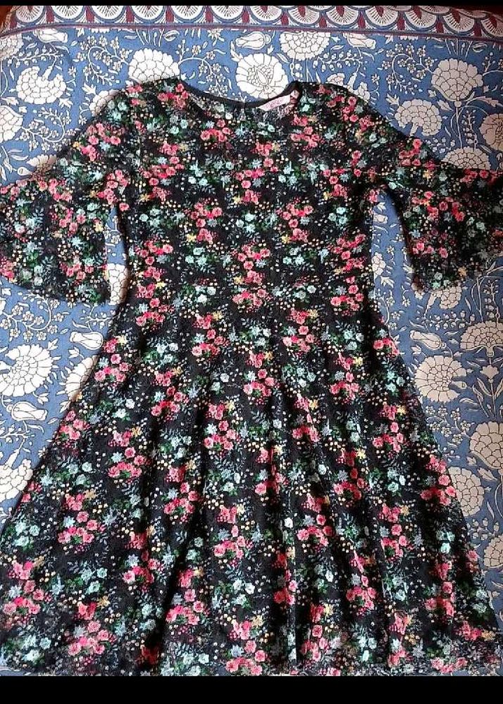 Ginger Brand beautiful Lace Floral Dress