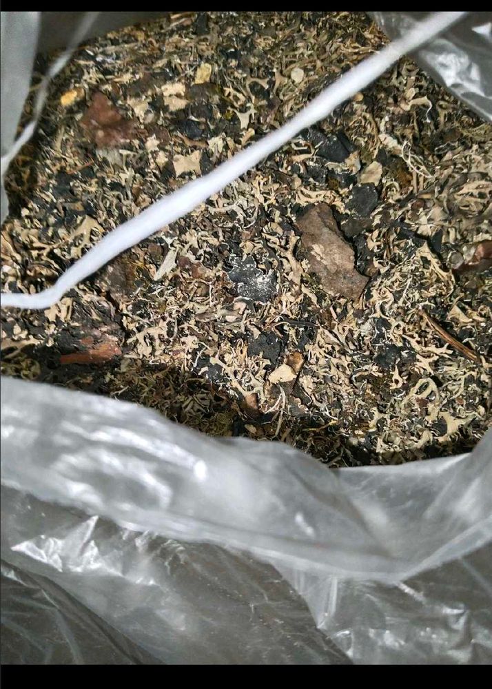 1 Kg Premium Dagad Phool (Kalpasi / Stone Flower)