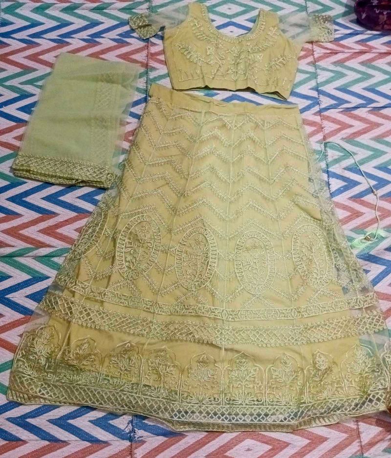 Embroidered Lehenga Choli