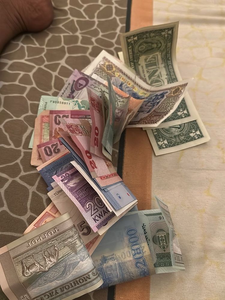 Mixed Currency Collection (20 note)