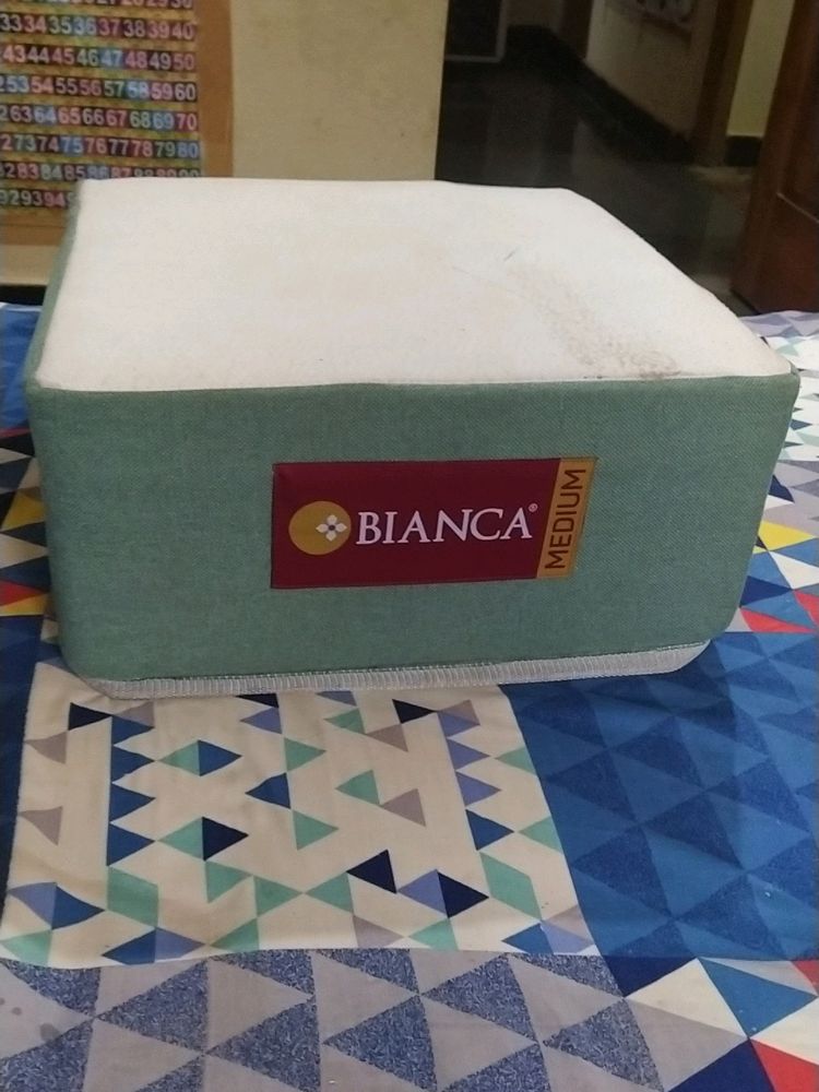8 Inches Cushion For Wooden Sofas