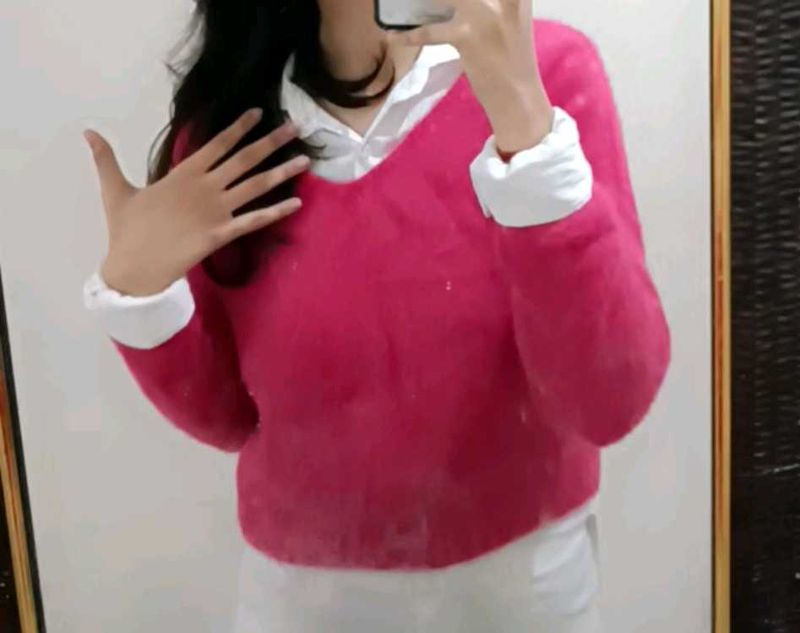 Cutest Sweaters