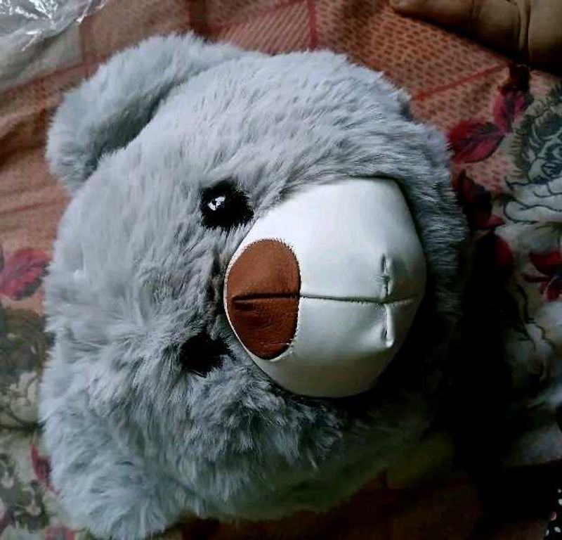 Cute Plush bear 🐻 bag