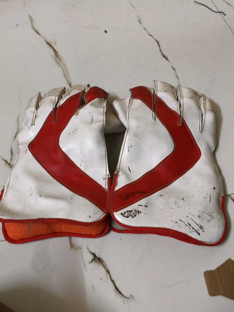 Speed on wicket keeping Gloves