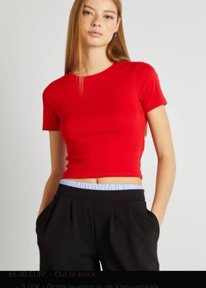 Zara Top
