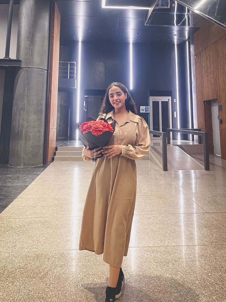 Brown Dress New