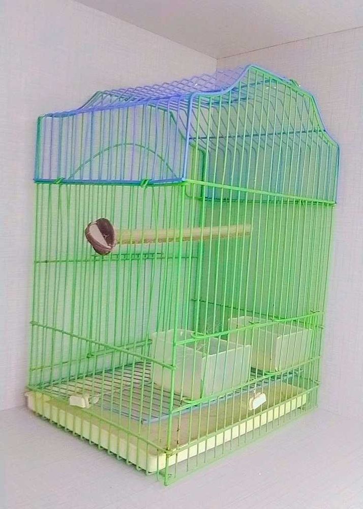 Birds Cage