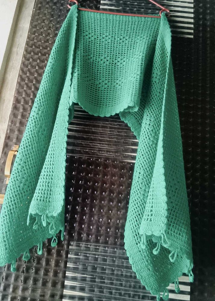 Stylish✨greensholl☘️colour