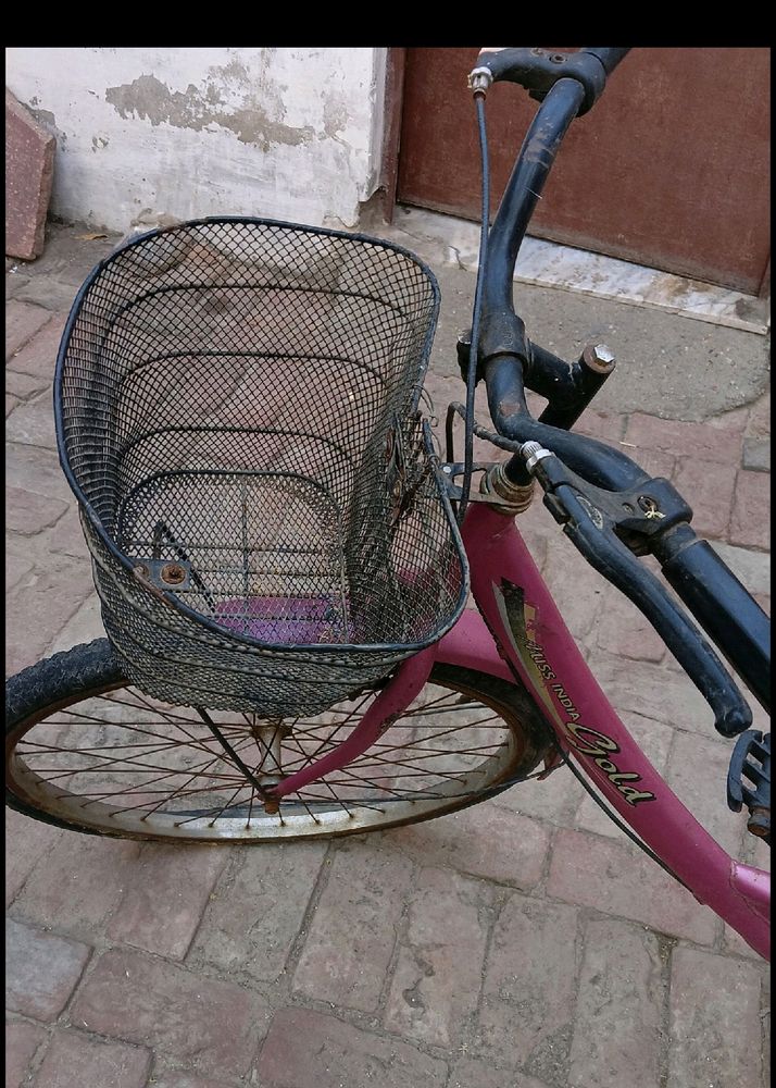 Girls Cycle