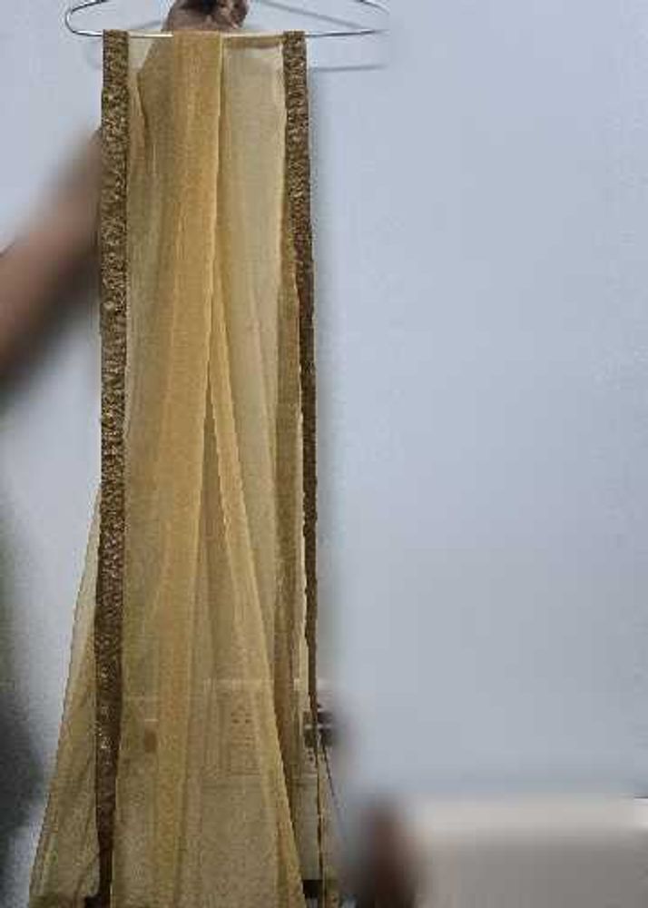 Elegant Gold Net Dupatta