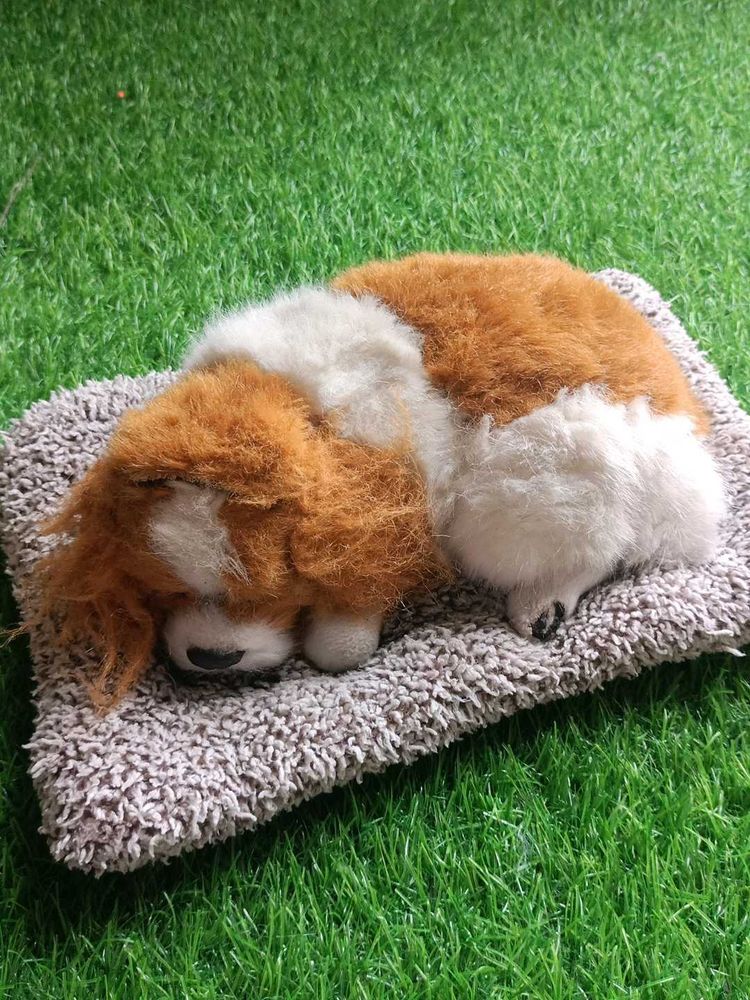 Slipping Puppies Soft Toys For Kids
