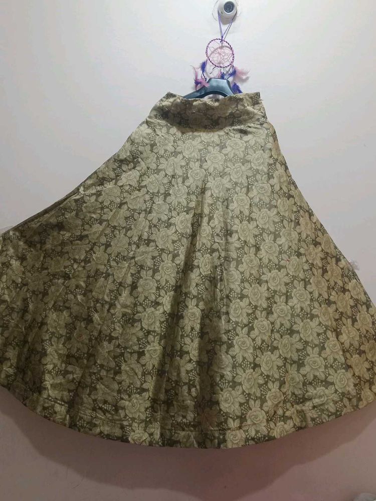 Skirt Choli