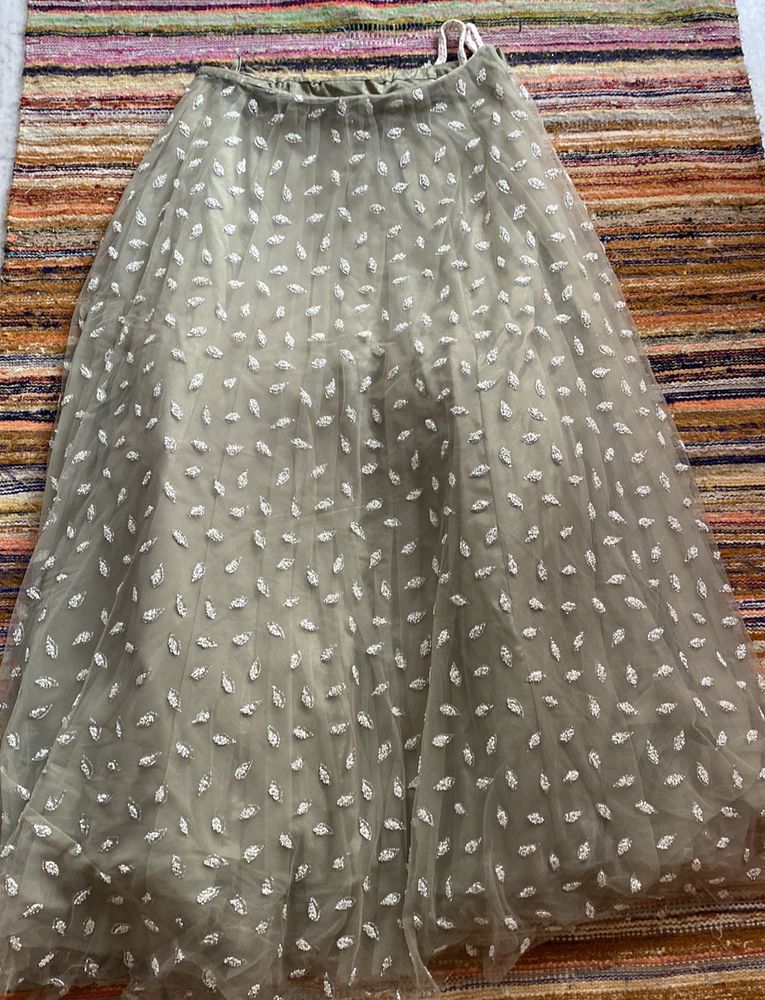 Anarkali Style Choli With Designer Sleeves And Choli And Dupataa