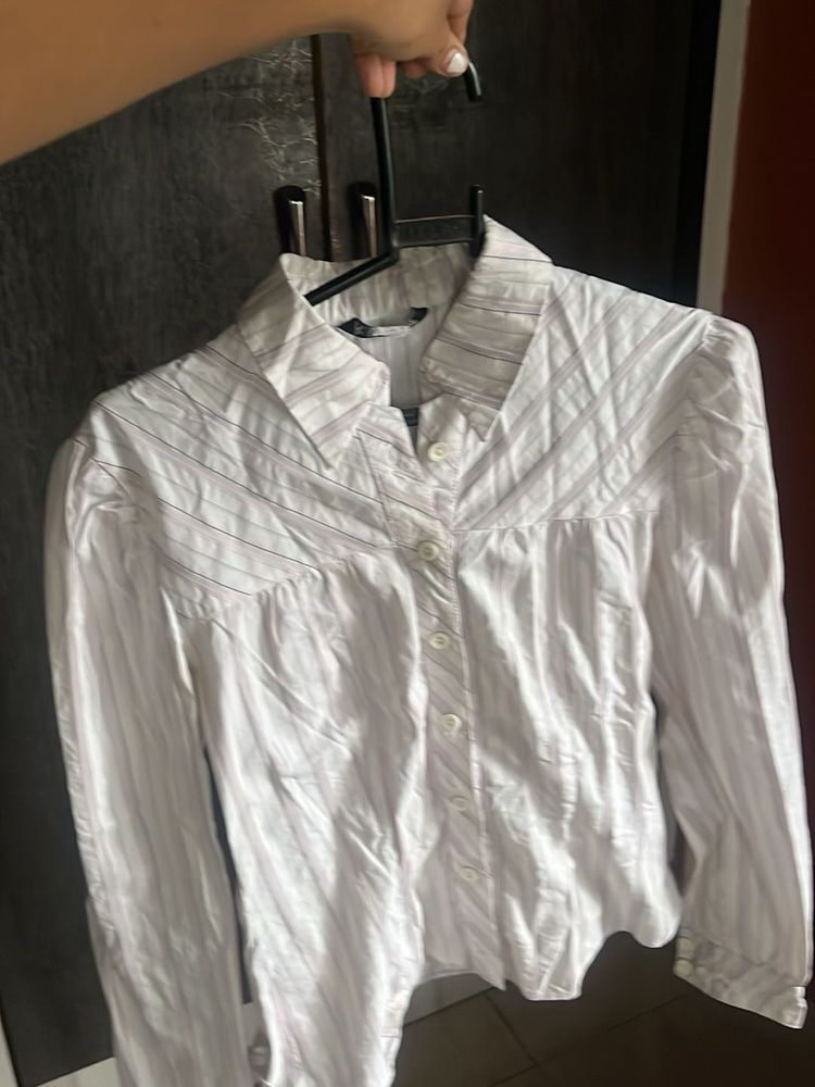 Striped Button-Down Shirt