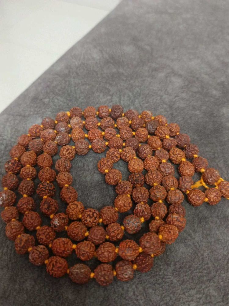 Rudraksha Mala Prayer Beads
