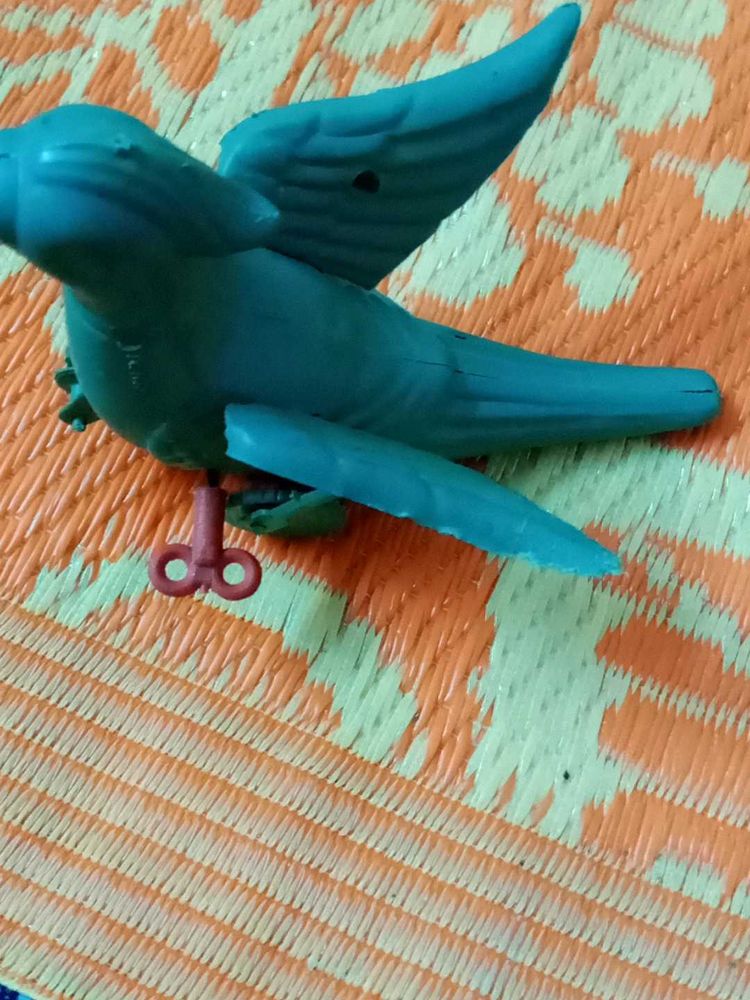 A Green 💚 Parrot 🦜