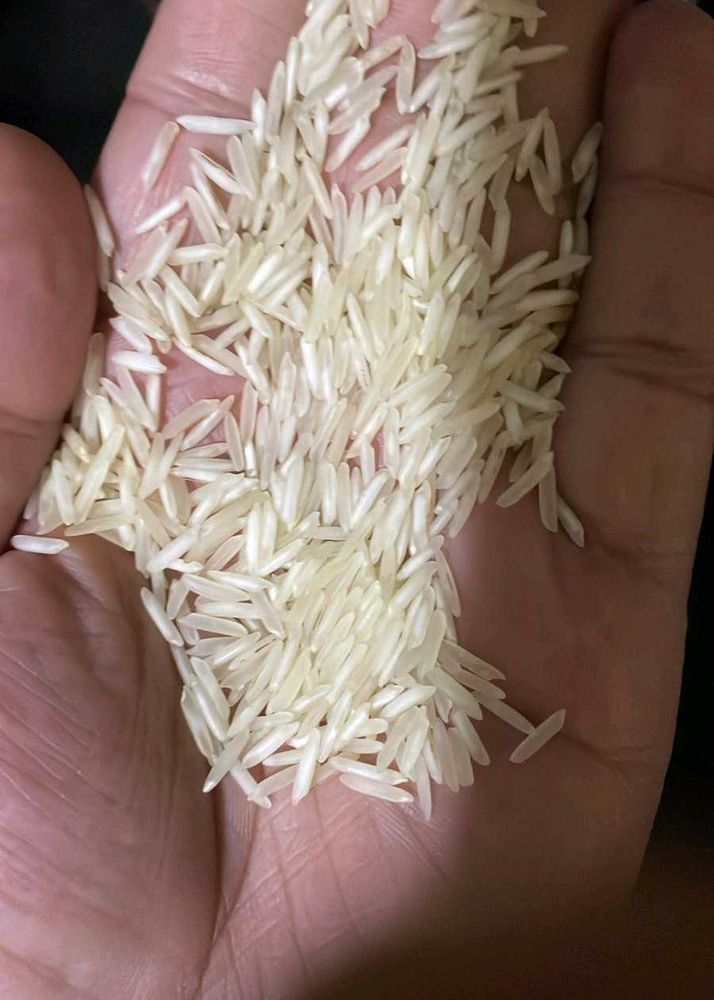 Shukriya Basmati Rice
