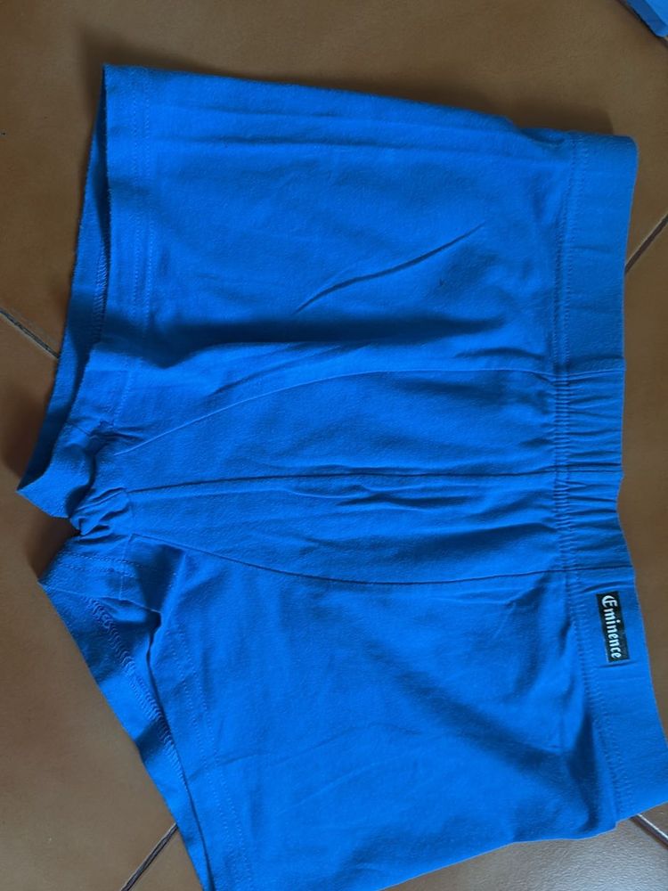 Men Blue Briefs