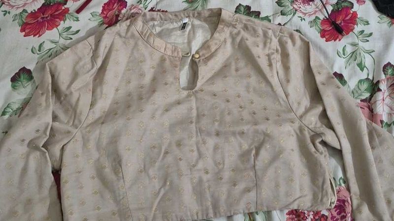 Elegant Ethnic lehenga set