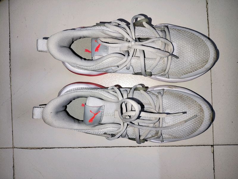 Puma Brand sports Shoes
