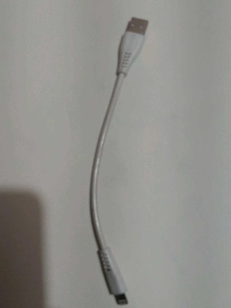 iPhone Airports Charger