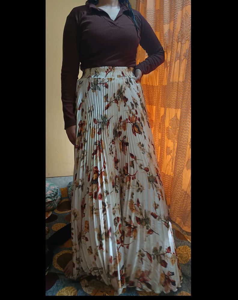 Stylish Brown Long Sleeve Top and skirt (combo )