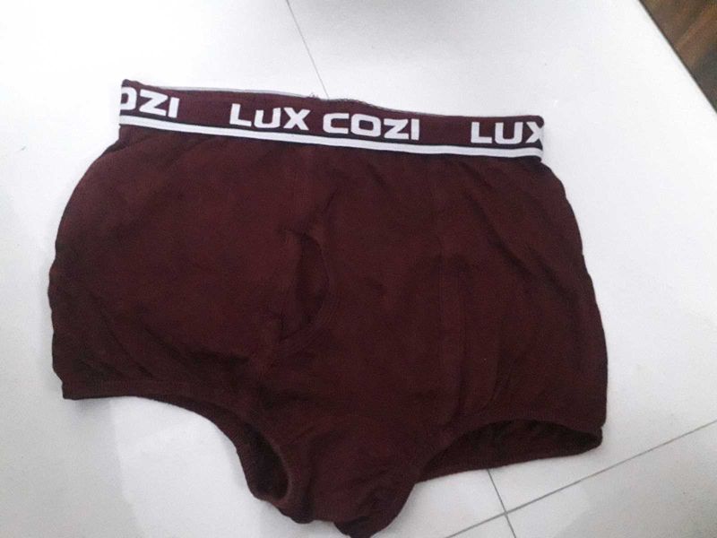 lux cozi underwear