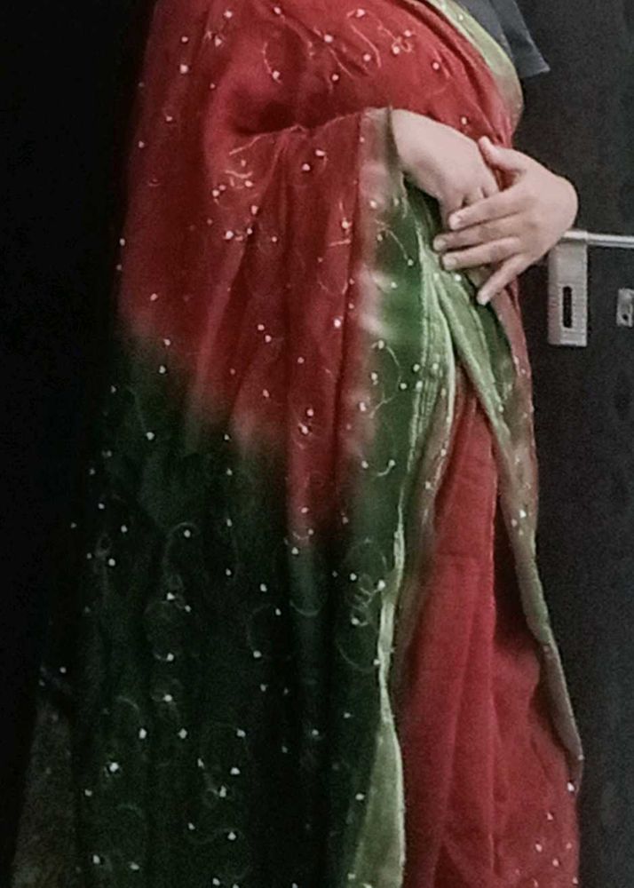 Elegant Red &amp; Green Saree