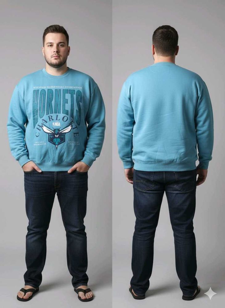 Hornets Graphic Sweatshirt