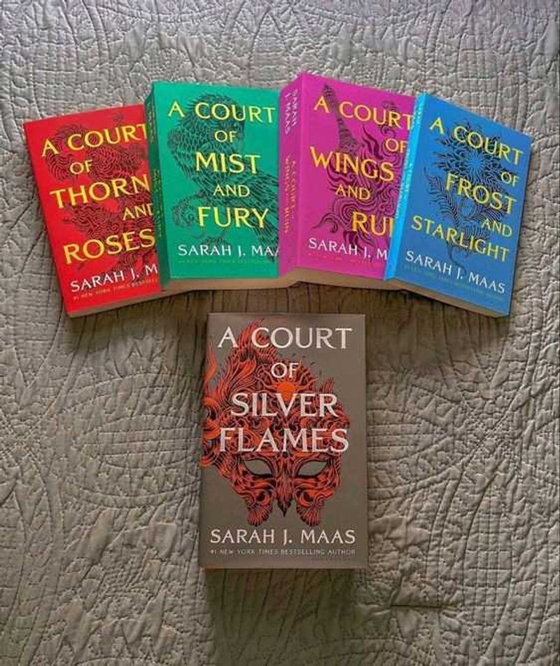 Court Of Wings And Ruins Book