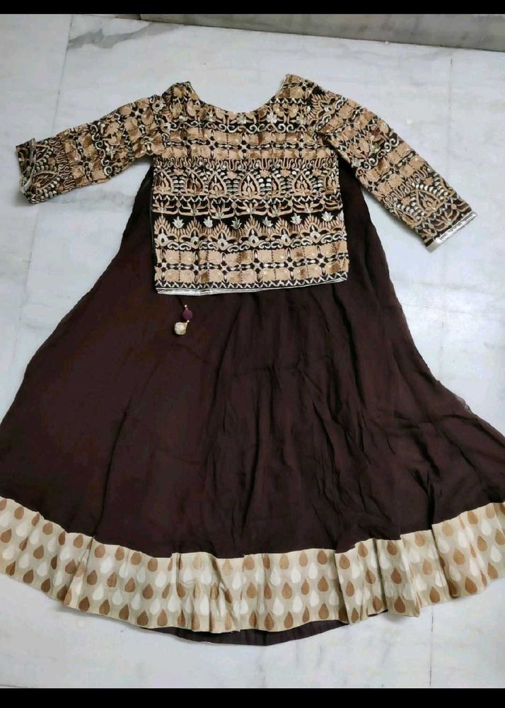 Elegant Brown Lehenga Choli Set
